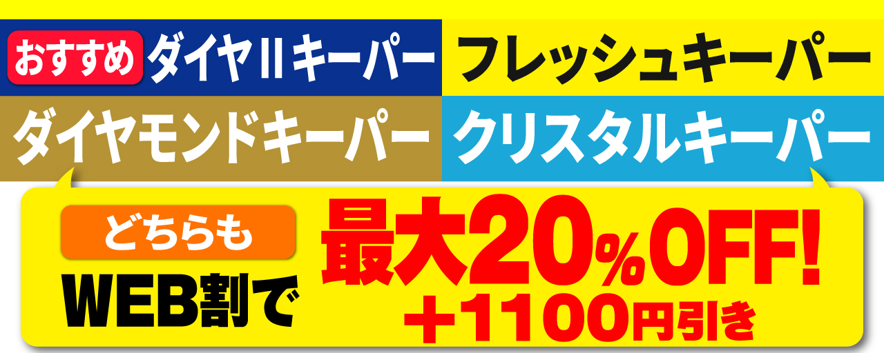 エコダイヤ・Wダイヤキーパー